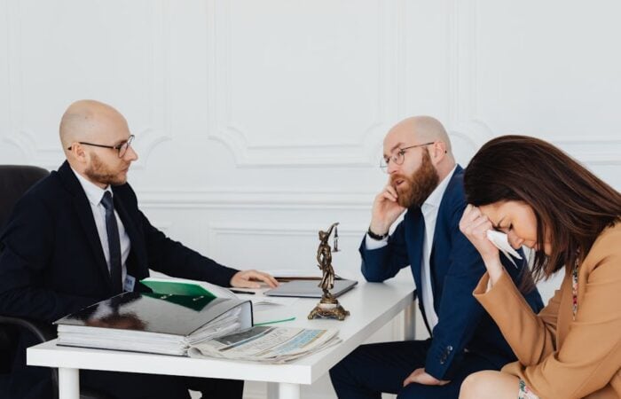 corporate legal consultant